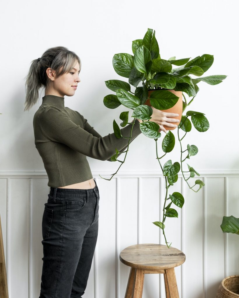 happy-woman-carrying-a-houseplant.jpg